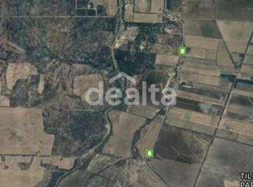 Foto · Campo en San Luis 821 Ha