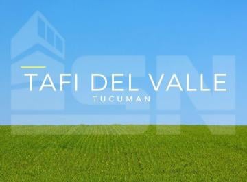 ISN-ISN-2216_2 · Lote. | El Churqui - Tafí del Valle