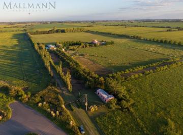 Campo · 2147483647m² · Campo en Exaltacion de La Cruz, Km 81,5 | Mallmann Propiedades