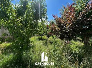 Terreno · 10000000m² · Openhouse Alquila Fabuloso Terreno en Luzuriaga Ideal Para Vivero?