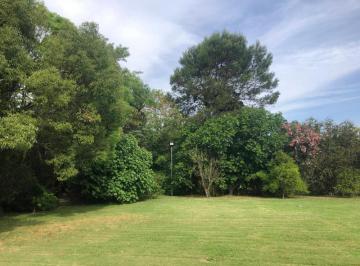 Terreno · 700m² · C. C. Los Cardales Lote Único en Dinastía Corazón del Country Pulmón de Manzana!