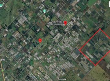 Campo · 1m² · 1 Ambiente · Venta Campo - El Pato - Berazategui