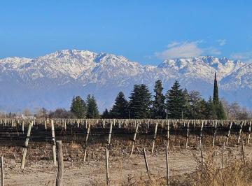 Campo · 130000ha · Adobe Inmobiliaria Vende Finca de 13 Has en Altamira, a m de Calle Ghilardi