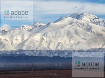 Campo · 10000m² · Adobe Inmobiliaria Vende Cuarteles en Prestigioso Country Vitivinicola Ubicado en Alto Agrelo