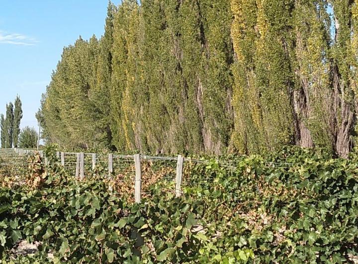 Terreno · 1ha · 1 Ambiente