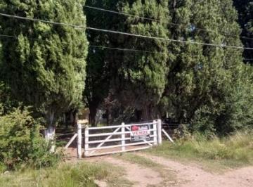 Terreno · 50m² · 3 Ambientes · Importante Lote con Casa a Refaccionar