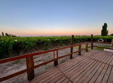 Bodega-Galpón , Junín · Finca y Bodega con Viñedos en Excelente Ubicación - Oportunidad de Inversión