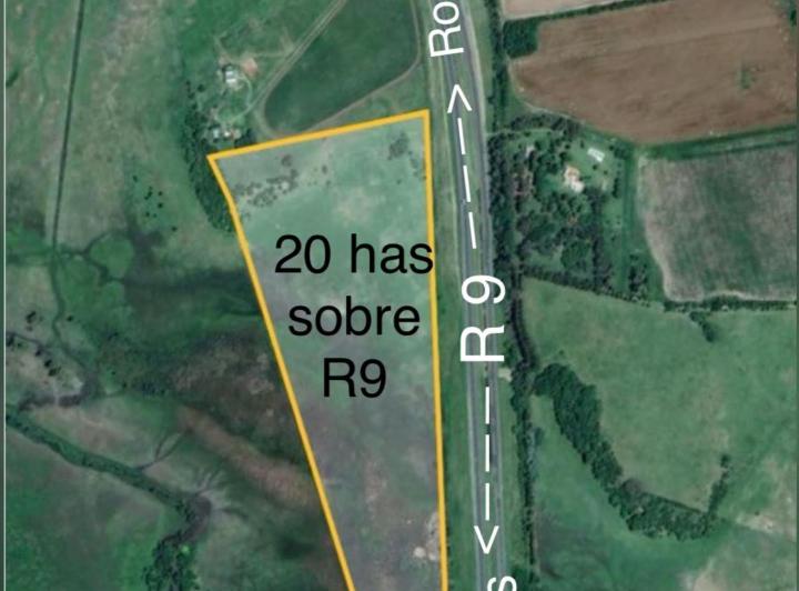 Campo · 20ha