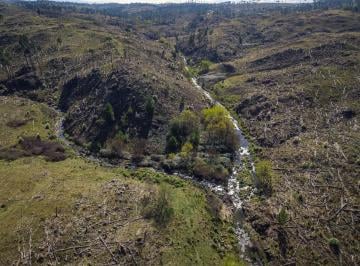 Campo , Santa Rosa de Calamuchita · Inmejorable Oportunidad: Campo de 15 Hectáreas en Atos Pampa (Sierras de Cba)