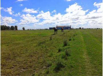 Campo · 1000m² · 2 Ambientes · Chacra - Colonia del Sacramento