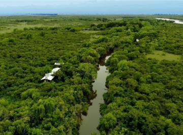 Terreno · 11078m² · Chacras de Una Hectárea en un Secreto Lugar del Tigre