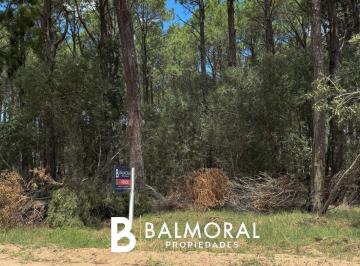 BML-BML-1180_2 · Lote. | Boulevard Florentino Ameghino