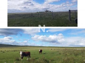 Foto1 · Vende Campo en Salto, Costas de Arerungua.