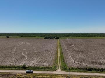 Campo , Calchaquí · Venta Campo Mixto en Producción. 580 Ha Calchaquí, Sf