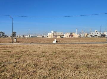 Terreno · 250m² · Venta Lotes Contiguos Apto Duplex 250 m² Cuestas Manantiales