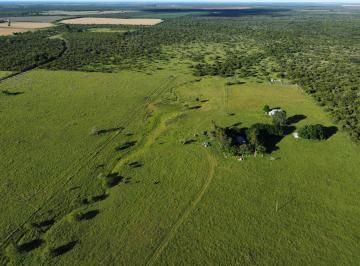 Campo de 4 ambientes, Lucas Norte · 100 Has Muy Buen Campo Ganadero y Agrícola