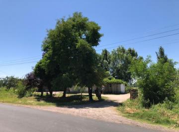 Campo de 3 ambientes, Tunuyán · Morro Inmobiliaria / Vende Finca - Campo - Casa y Galpón en Tunuyán