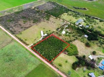 Quinta vacacional · 10000m² · 1 Ambiente · 1 Cochera · Colonia, Matamora - Chacra Muy Bien Ubicada