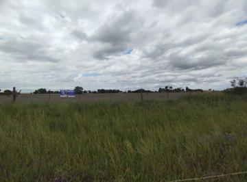 Campo · 100000m² · Campo en Saladillo