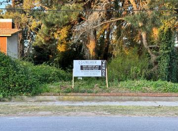 Terreno , Villa Gesell · Terreno / Lote en Venta de 4570 m² Ubicado en Zona Norte