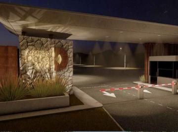 ISN-ISN-2219_2 · Lote. | Anfiteatro de La Vid - Cafayate