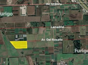 Terreno · 95857m² · Campo - Rosario