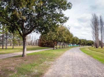 Campo · 10000m² · Comarcas de Luján, Barrio de Chacras Santa Matilde
