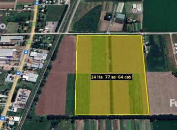 Terreno · 147700m² · Terreno - Soldini
