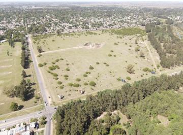 Terreno · 240000m² · Venta Terreno 24 Ha Fisherton