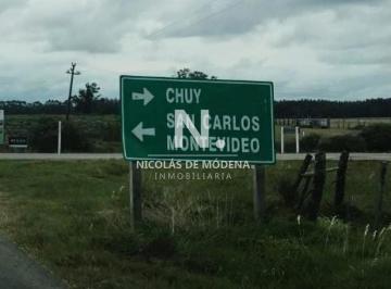 Foto1 · Campo a Pocos m de Ruta Nacional Número 9