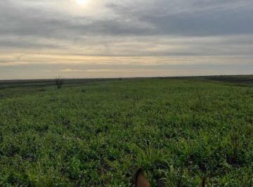 Campo · 9870000m² · Terreno en Venta - 987 Hectáreas - Victoria, Entre Ríos
