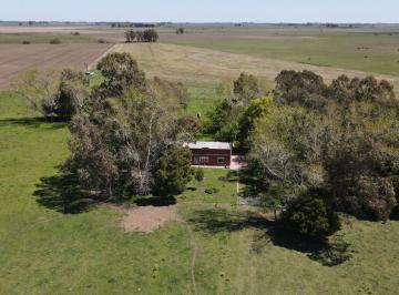 Campo · 96m² · Campo en Venta - 8ha - Lezama