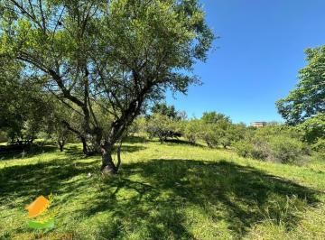 Terreno , La Serranita · Terreno en La Serranita