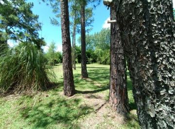 Terreno · 1m² · Lote en Venta, en Club Nautico Cube, Salida Al Rio Parana, Escobar, Gba Norte