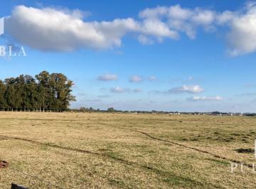 Terreno · 370000m² · Venta Campo en San Miguel del Monte 41 Ha Retasado