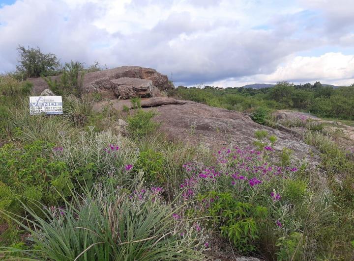 Terreno · 1228m²