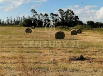 Terreno · 80m² · 3 Ambientes · 1 Cochera · Hermosa Chacra Salinas Norte 3 Hectarias y Media.