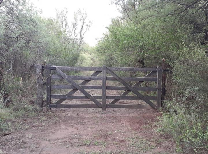 Campo · 100m² · 4 Ambientes