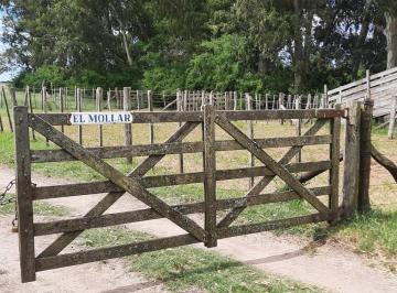 Campo · 300m² · Venta Campo en Castelli