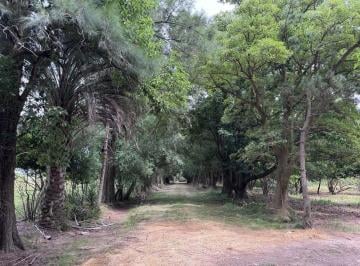 Campo · 1000000000m² · 3 Ambientes · 10 Hectáreas en Melchor Romero
