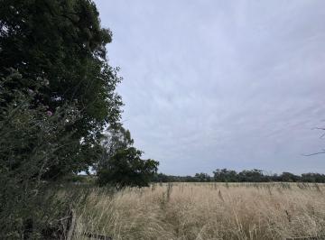 Campo · 100000m² · 3 Ambientes · 10 Hectáreas en Melchor Romero