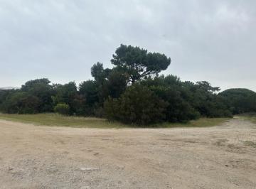Terreno · 4963m² · 1 Ambiente · Espectacular Lote 4963 m². en Colonia Marina Villa Gesell.