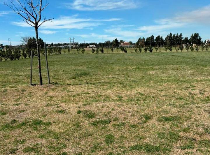 Terreno · 830m²