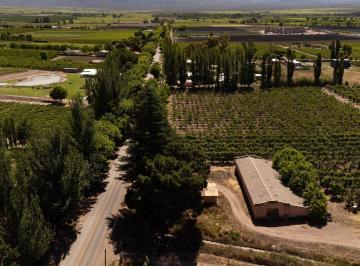 Campo · 60m² · Finca en Venta en Tunuyán