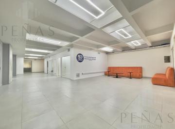 Oficina comercial · 350m² · 8 Ambientes · Impecable Piso Corporativo 350 m² Reciclado Todo a Nuevo Apto Varios Usos - Tribunales