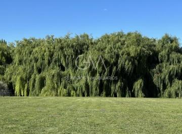 Terreno · 1667m² · Lote en Venta en Rumenco