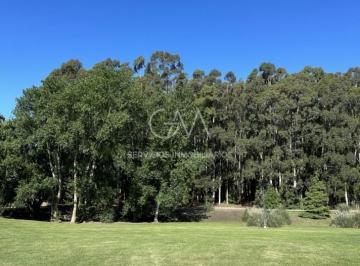 Terreno · 800m² · Lote en Venta en Rumenco