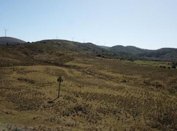 Campo · 860000m² · Campo en La Sierras Al Oeste Ruta 39 Km 58