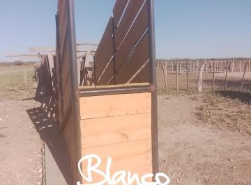 Campo · 5000m² · Terreno Campo en Venta en La Reforma, Limay Mahuida, La Pampa