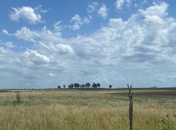 Campo · 2200000m² · Campo - General Madariaga
